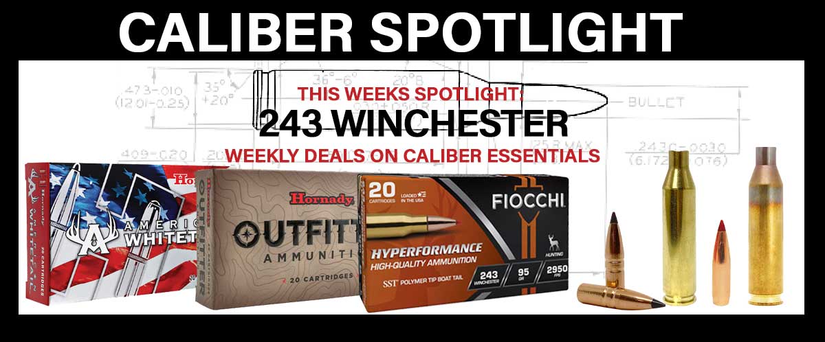 Shop 243 winchester Deals