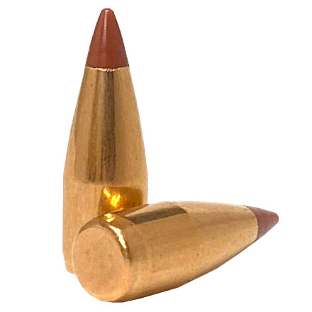 20 Caliber .204 Diameter 24 Grain NTX 100 Count