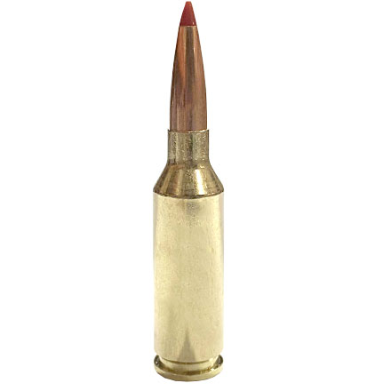 Hornady Precision Hunter 22 ARC 80 Grain ELD-X 20 Rounds