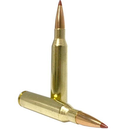 Hornady Custom 338 Lapua Magnum 240 Grain CX 20 Rounds