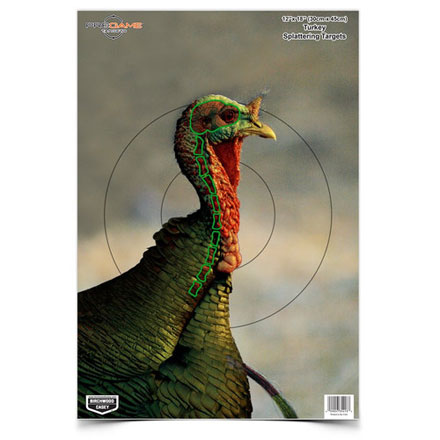 Pregame 12x18" Splattering Turkey Target (8 Pack)
