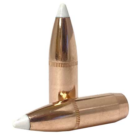 375 Caliber .375 Diameter 300 Grain AccuBond 50 Count