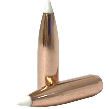 30 Caliber .308 Diameter 180 Grain AccuBond 50 Count