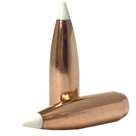 30 Caliber .308 Diameter 150 Grain AccuBond 50 Count