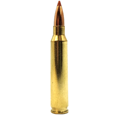 223 Remington 55 Grain Ballistic Tip Varmint 20 Rounds by Nosler