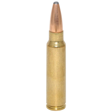 300 Savage 180 GR Centerfire Rifle Ammo for sale