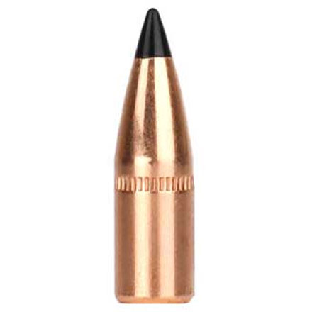 5.56 Poly Tip Loader Pack (250 Count Primed 5.56 Brass & 250 Count 55 ...