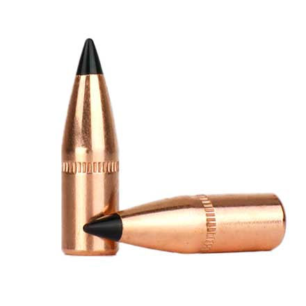 5.56 Poly Tip Loader Pack (250 Count Primed 5.56 Brass & 250 Count  55 Grain Bulk Poly Tip Bullets)