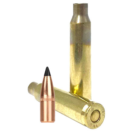 5.56 Poly Tip Loader Pack (250 Count Primed 5.56 Brass & 250 Count  55 Grain Bulk Poly Tip Bullets)